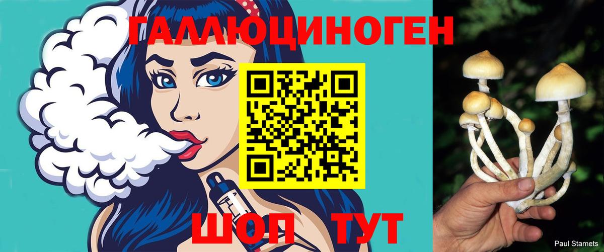 Галлюциногенные грибы мицелий  Вход с VPN  Татарск 